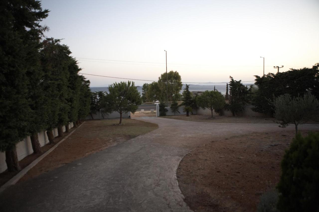 Agia Marina  Villa Deep Blue מראה חיצוני תמונה